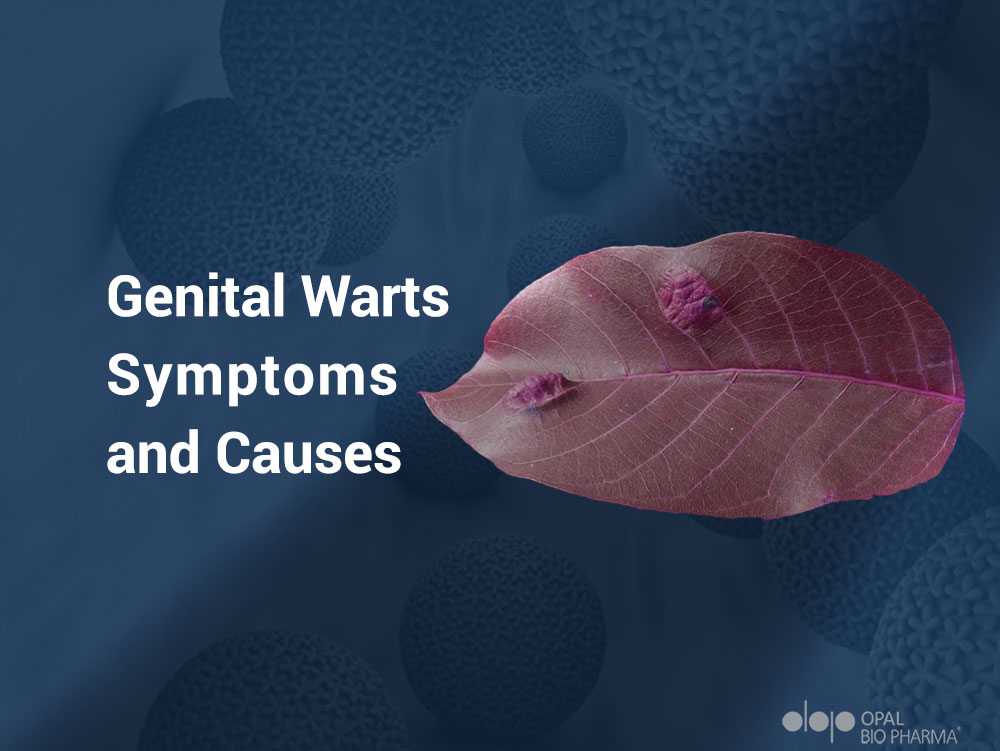 Symptoms Of Venereal Warts - Infoupdate.org