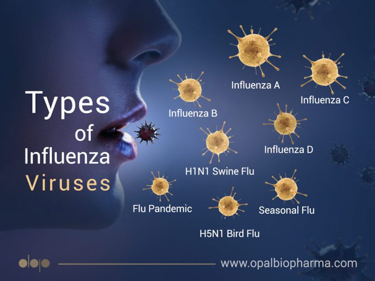 Types Of Influenza Viruses - OpalBioPharma