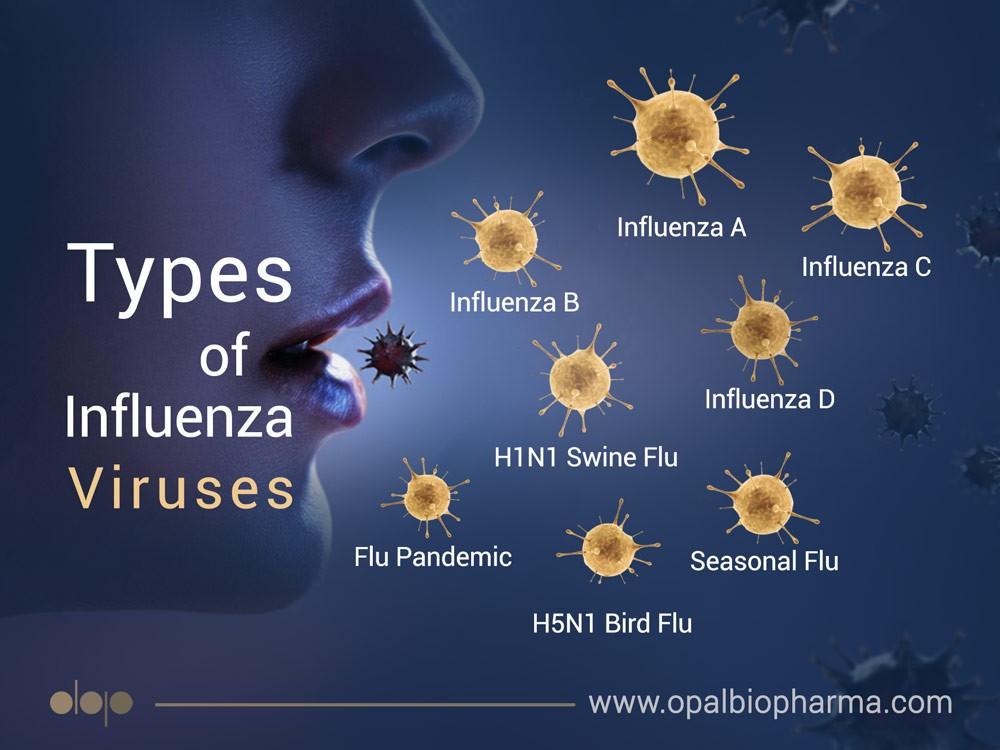 Types of Influenza A vs. B Comparison healthedupro