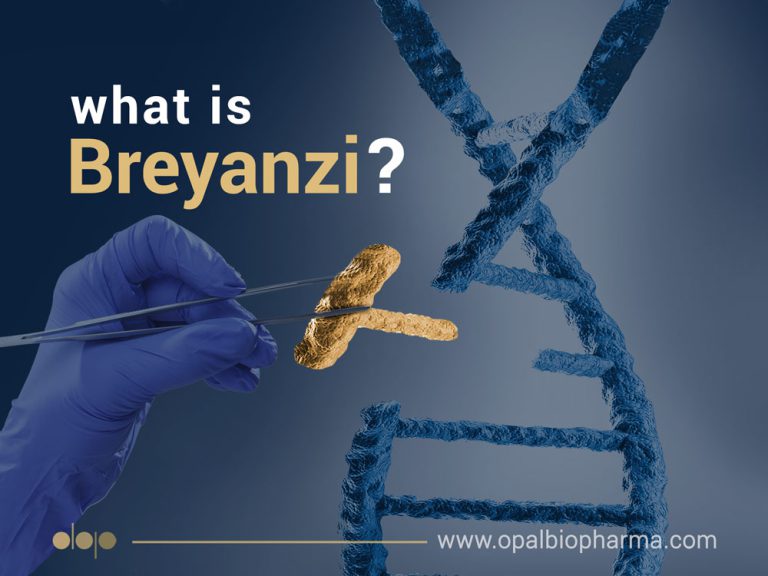 What is Breyanzi? obp