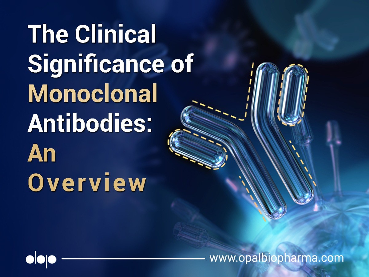 The Clinical Significance Of Monoclonal Antibodies An Overview Opalbiopharma