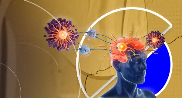 Erythropoietin's Neuroprotective Impact