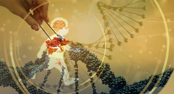 Lentiviral Stem Cell Gene Therapy Shows Long-Term Benefits in Advanced Juvenile MLD