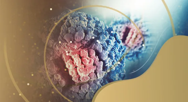Breakthrough in Immunotherapy: Anti-Correlation of KLRG1 and PD-1 in Tumor CD8 T-Cells