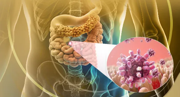 Boosting CLDN18.2-CAR-T Therapy in GI Cancers: How IDO1 Inhibition Overcomes Tumor Immunosuppression
