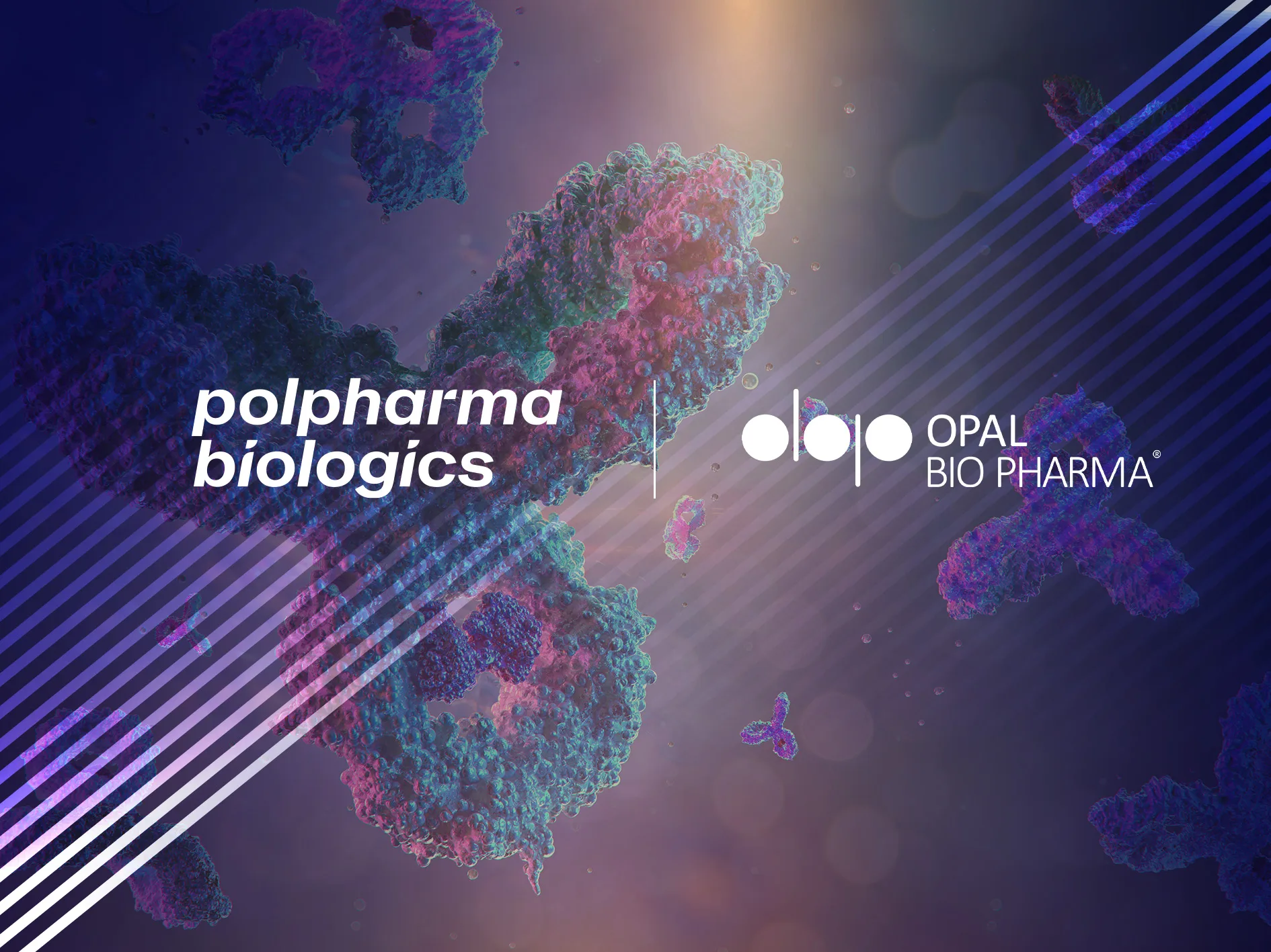 Opal-BioPharma-and-Polpharma-partnership-2